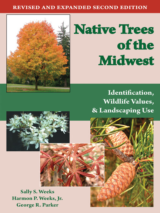 Title details for Native Trees of the Midwest by Sally S. Weeks - Wait list